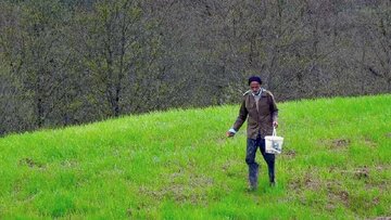 تنهایی و وفاداری قدمعلی در یک روستای خالی