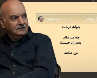 هنرمندان پای کار دفاع از وطن/ کاش نمانم، اما تو بمانی ایران زیبای من