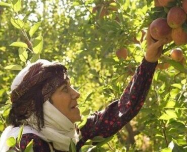 آغاز سریال «مادران» از جمعه با بازی رویا افشار