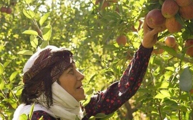 آغاز سریال «مادران» از جمعه با بازی رویا افشار