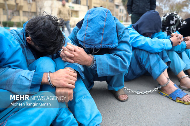 انهدام باند سارقان حرفه‌ای منازل در پایتخت