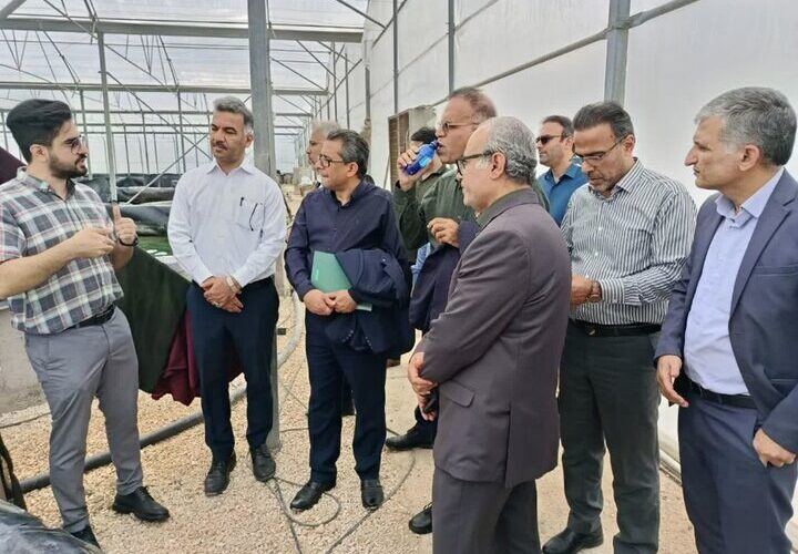 توسعه آبزی‌پروری نوین با محوریت تولید اسپیرولینا در استان بوشهر