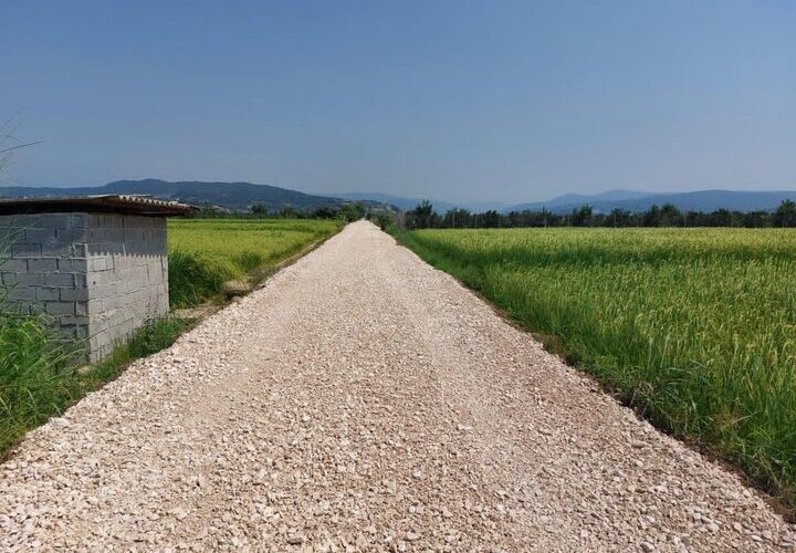 مشکلات زیرساختی ناشی از سیلاب برای باغداران ایوان حل شد