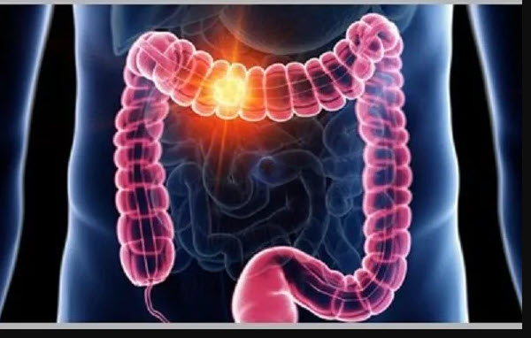 اخبار،اخبار جدید،اخبار روز