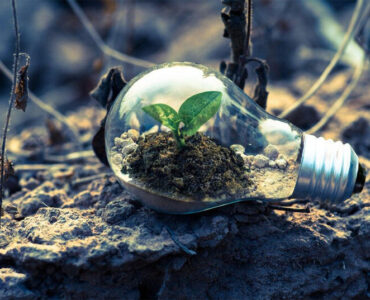 کنعانی: مازندران با ۴ چالش اساسی محیط زیستی روبرو است