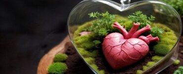 چرا آمار اهدای عضو سقوط کرد؟
