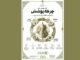 آغاز پویش ملی «چرخه پوشش» با محوریت مصرف مسئولانه و مد پایدار