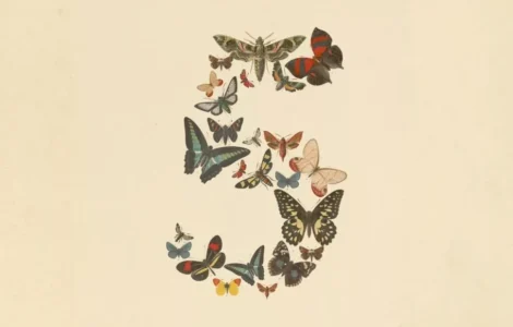 آنتروپیک Claude Fable 5 عرضه شد؛ اولین نسخه عمومی از مدل جنجالی Mythos آنتروپیک Claude Fable 5 عرضه شد؛ اولین نسخه عمومی از مدل جنجالی Mythos