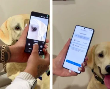 سامسونگ قابلیت Pet Care را معرفی کرد؛ تشخیص بیماری حیوان خانگی با یک عکس سامسونگ قابلیت Pet Care را معرفی کرد؛ تشخیص بیماری حیوان خانگی با یک عکس