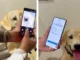 سامسونگ قابلیت Pet Care را معرفی کرد؛ تشخیص بیماری حیوان خانگی با یک عکس