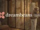 فرار از دوم‌اسکرولینگ؛ گوگل با اپ Dreambeans برای شما داستان شخصی می‌گوید [تماشا کنید]