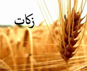 مشارکت ۵۱ میلیاردی اصفهانی‌ها در زکات؛کشاورزان ۵۳۰ روستا پیشگام شدند