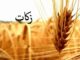 مشارکت ۵۱ میلیاردی اصفهانی‌ها در زکات؛کشاورزان ۵۳۰ روستا پیشگام شدند