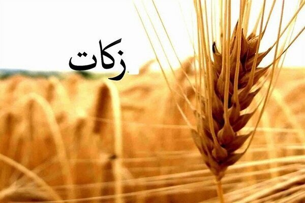 مشارکت ۵۱ میلیاردی اصفهانی‌ها در زکات؛کشاورزان ۵۳۰ روستا پیشگام شدند