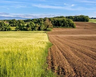 آغاز طرح ابتکاری کشت تناوبی در اراضی آیش همدان