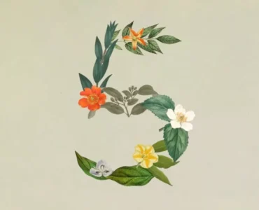 آنتروپیک از Claude Sonnet 5 رونمایی کرد؛ مدلی قدرتمند برای هدایت ایجنت‌ها
