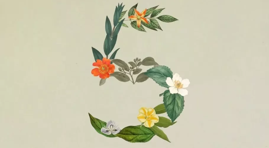 آنتروپیک از Claude Sonnet 5 رونمایی کرد؛ مدلی قدرتمند برای هدایت ایجنت‌ها
