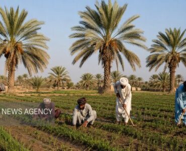 فرهنگ همیاری اجتماعی؛ میراث انسانی مردم سیستان