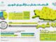 اطلاع نگاشت | اقدامات بازآفرینی شهری اداره کل راه و شهرسازی
استان خراسان رضوی