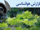 بشنوید| رگبار پراکنده باران و وزش باد در جنوب، سواحل خزر و
ارتفاعات البرز مرکزی