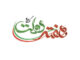 تاکید بسیج بر «خدمت صادقانه» و تقویت سرمایه اجتماعی در هفته دولت