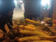 جشنواره ملی شیر بلال در سیمرغ