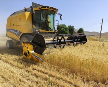 خرید تضمینی گندم در کرمانشاه از ۱۹۸ هزار تن گذشت