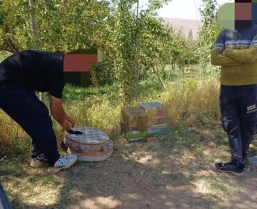 دستگیری متخلفان زنده‌گیری پرندگان در بروجن