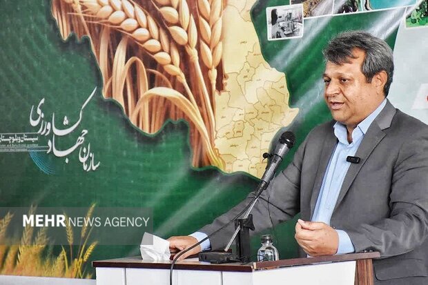مرغداران سیستان و بلوچستان زیر قیمت تمام‌شده تولید می‌کنند
