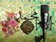 ویژه‌برنامه‌های رادیو برای میلاد پیامبر (ص) و امام صادق (ع)