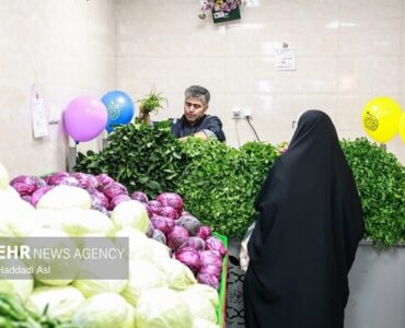 الزامات سبزی خوردن بستهبندی اعلام شد الزامات سبزی خوردن بستهبندی اعلام شد