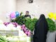 الزامات سبزی خوردن بسته‌بندی اعلام شد