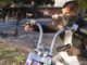 تمام اطلاعات جدید GTA 6 منتشر شده توسط مجله گیم‌اینفورمر؛ از سیستم آب‌وهوای پیشرفته تا 170 گونه جانوری
