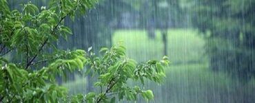رگبار، رعدوبرق و وزش باد شدید در شمال شرق کشور رگبار، رعدوبرق و وزش باد شدید در شمال شرق کشور