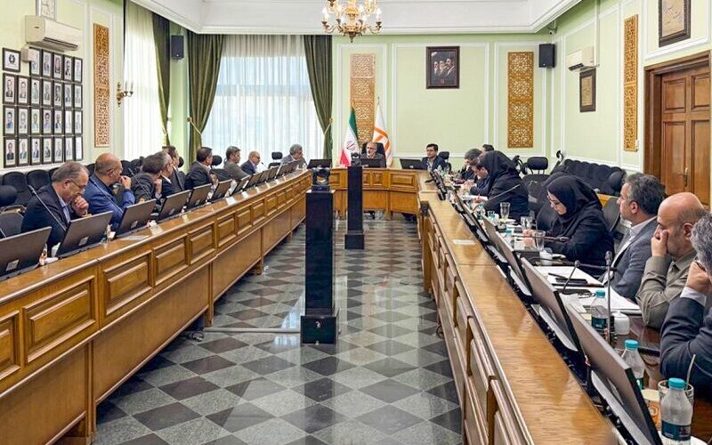 نشست مشترک بانک مسکن و گروه مالی/ گذر از همکاری سنتی به
هم‌افزایی راهبردی
