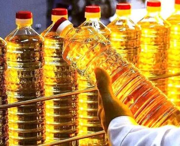 آفتابگردان در بن‌بست آبراه؛ تنگنای سرخ بر طلای زرد| خزر در مدار طلای روغنی