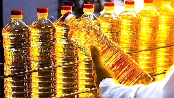 آفتابگردان در بن‌بست آبراه؛ تنگنای سرخ بر طلای زرد| خزر در مدار طلای روغنی